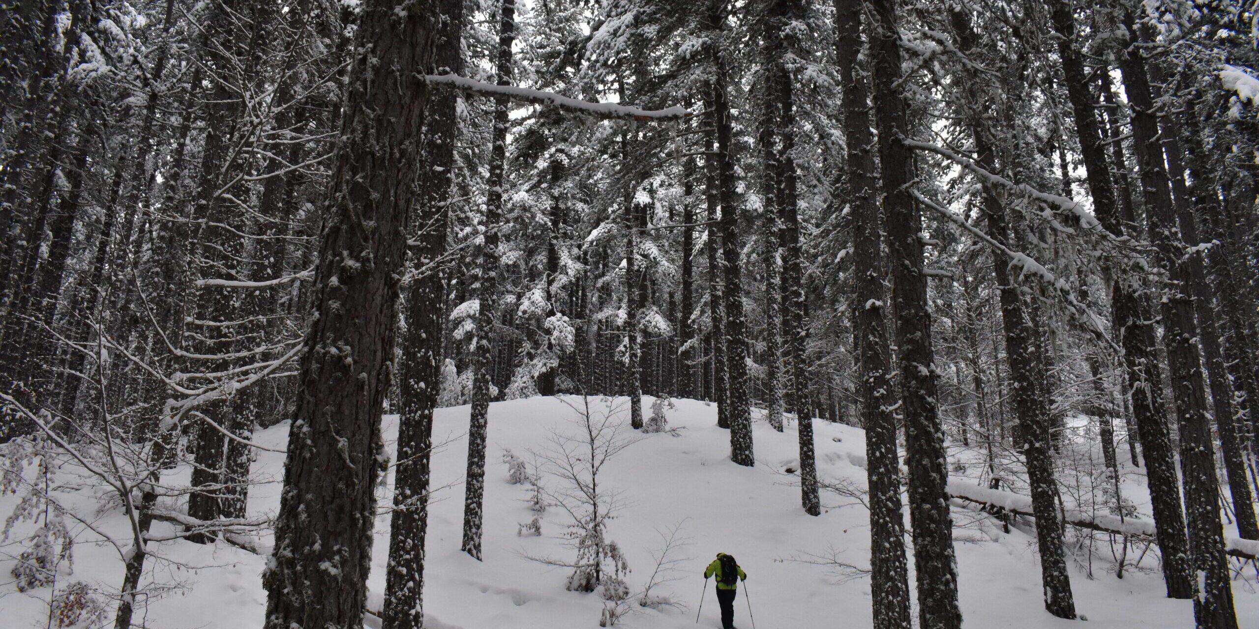 Colle del Lupo: il sogno del Sud