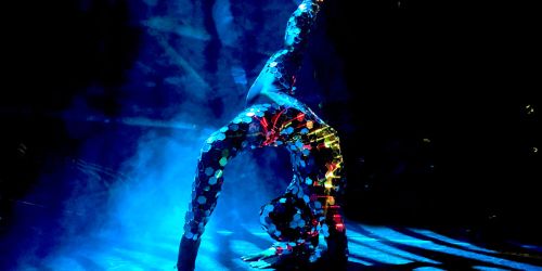 EVolution dance Theater