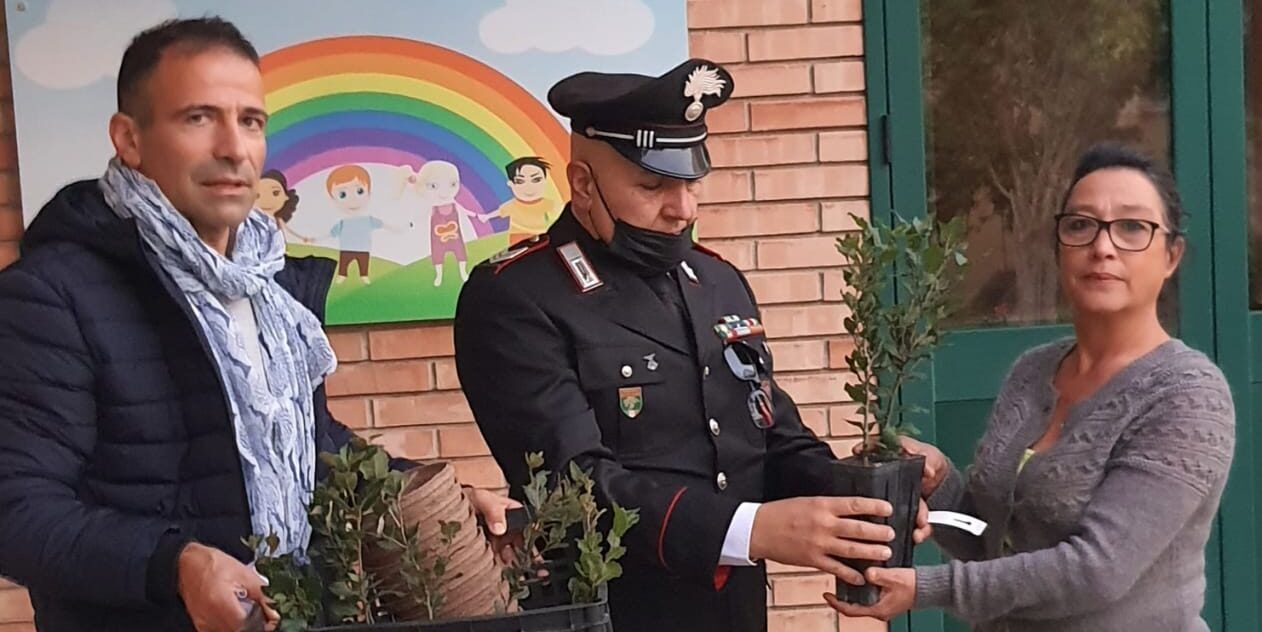 Giornata nazionale degli alberi, carabinieri in azione nel Catanzarese
