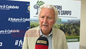 La sfida globale sull’olio tra costi, manodopera e qualità