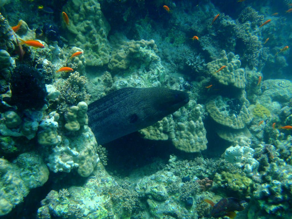 Ad Amendolara l'hub nazionale della ricerca marina