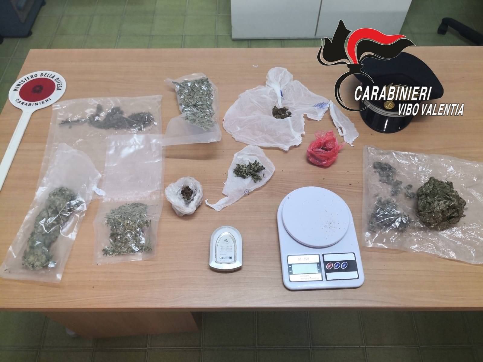 Tropea, nascondeva mezzo chilo di marijuana in casa
