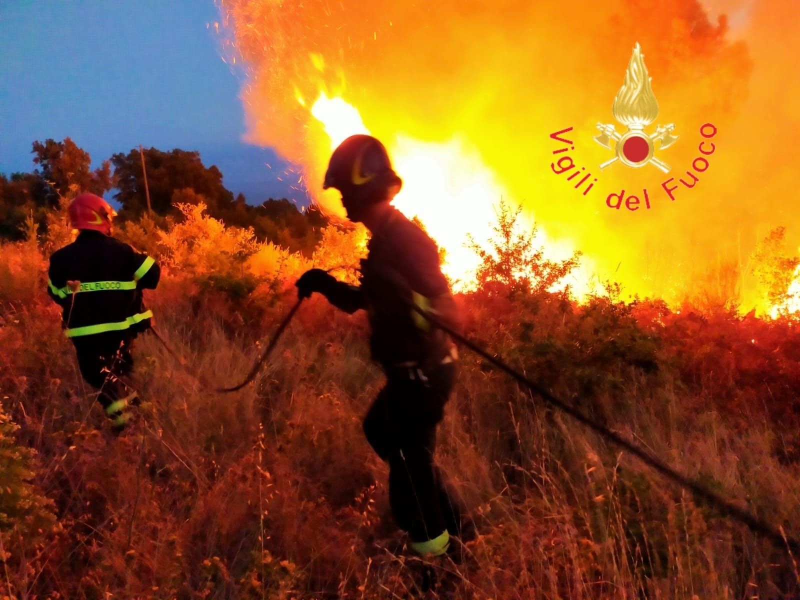 Incendi, continuano le operazioni di soccorso: dal primo agosto si contano 3.800 interventi – VIDEO