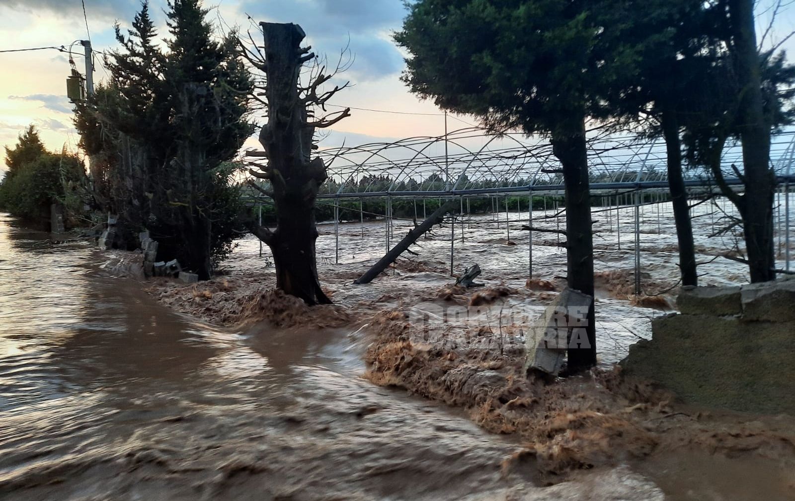 Il gruppo Pd: «La Giunta Occhiuto si attivi per il riconoscimento dello stato di emergenza»