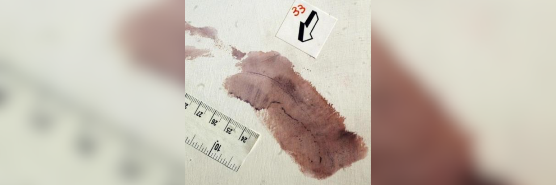 Garlasco, «sudore e sangue nell’impronta sul muro»