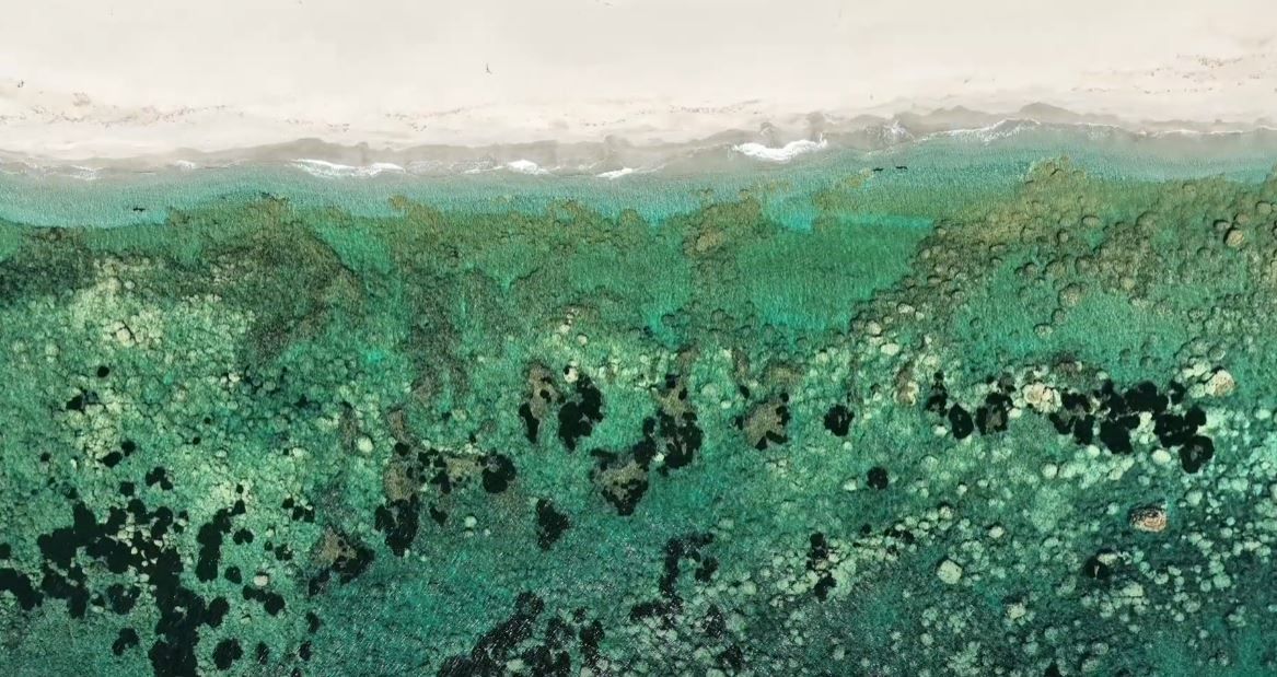 «I parchi calabresi devono diventare destinazioni turistiche sostenibili»