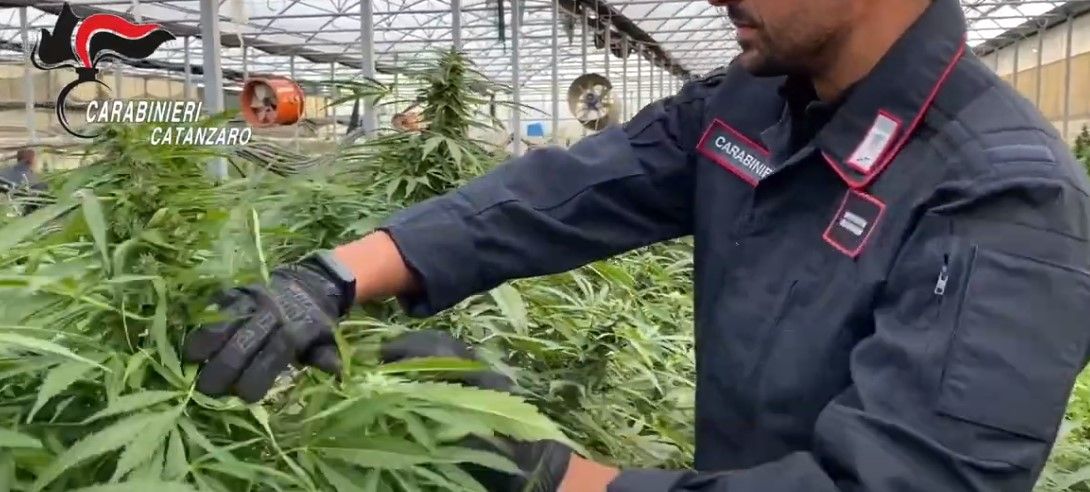 La consorteria lametina mette nel mirino un pusher di Pianopoli. «Questa sera lo sparavo eh»