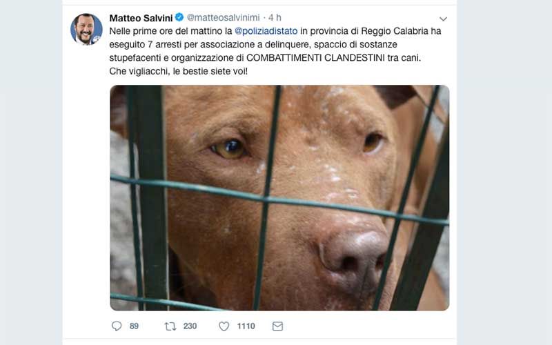 Spaccio e combattimento tra cani a Taurianova, 7 condanne