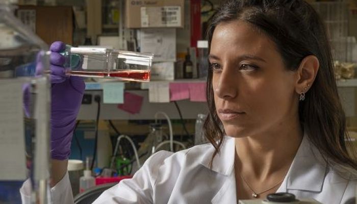 Dalla Calabria alla John Hopkins, la scienziata Sandra Misale vince il Premio Casato Prime Donne per la ricerca su Kras