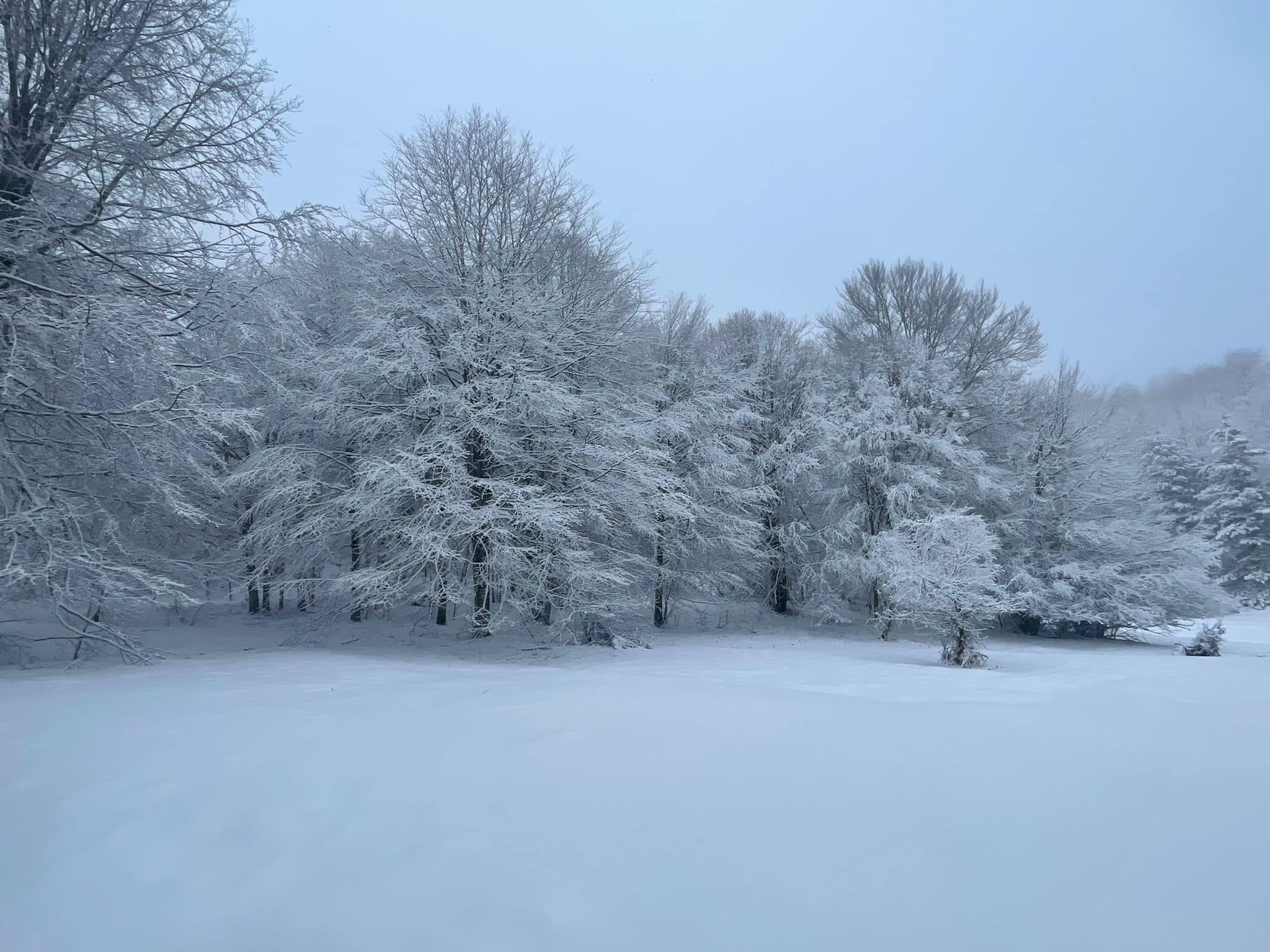 “Che facciamo a Pasquetta?” Escursioni nella Sila innevata – VIDEO