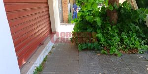 Cosenza, c’è la giungla in pieno centro: difficile camminare sui marciapiedi