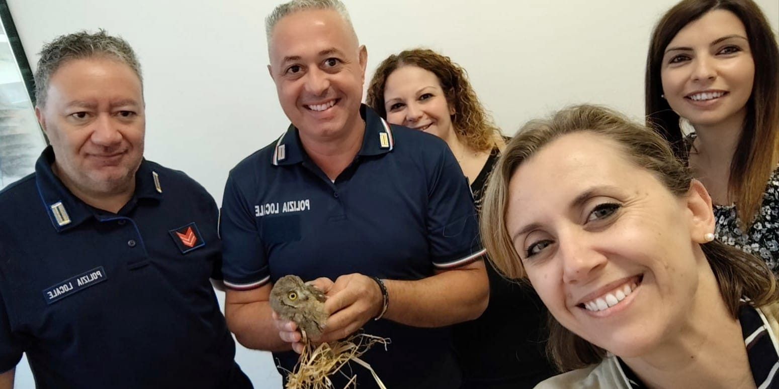 Marina di Gioiosa Jonica, assiolo salvato dai bambini delle scuole 