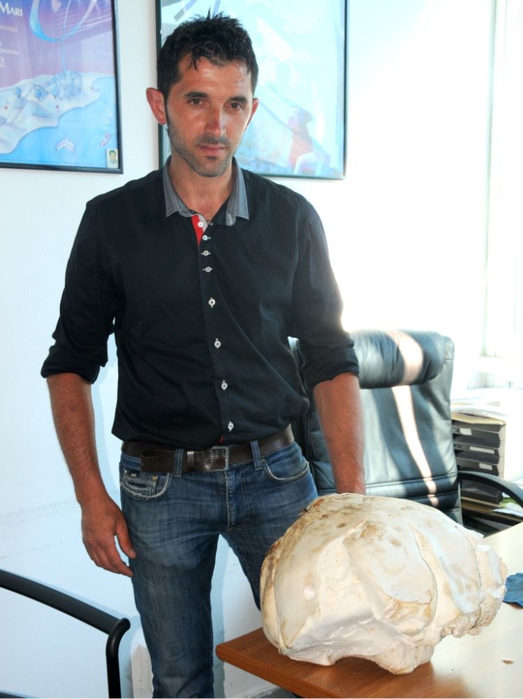 Trovato in Sila un fungo di cinque chili