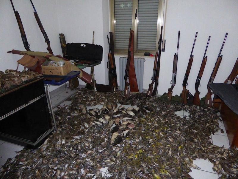 Turismo venatorio dal Nord in Calabria, 4 denunce