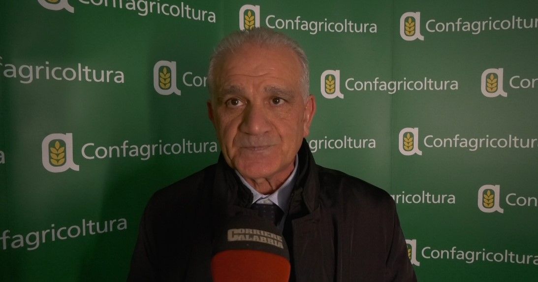 Mercosur, Politi: «Occorre garantire la qualità delle produzioni che arrivano in Italia»