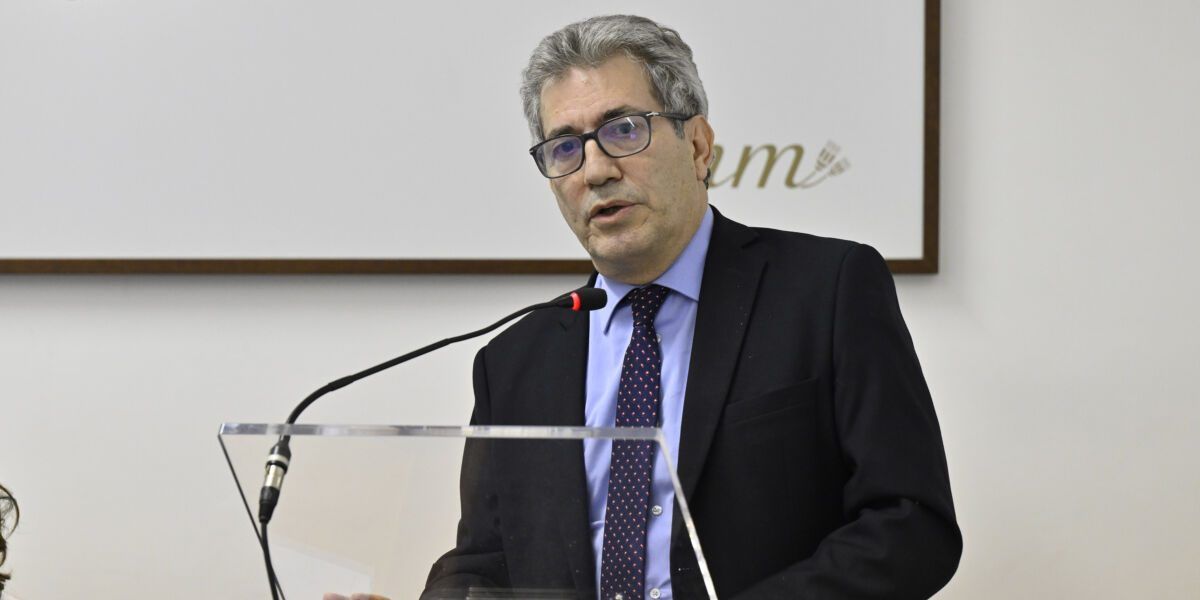 Vignetta della Camera Penale di Cosenza, Diella: «Questa non è satira»