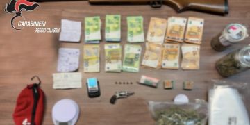 Siderno, scatta l’arresto: in casa un revolver, 250 grammi di marijuana e otto tartarughe – VIDEO