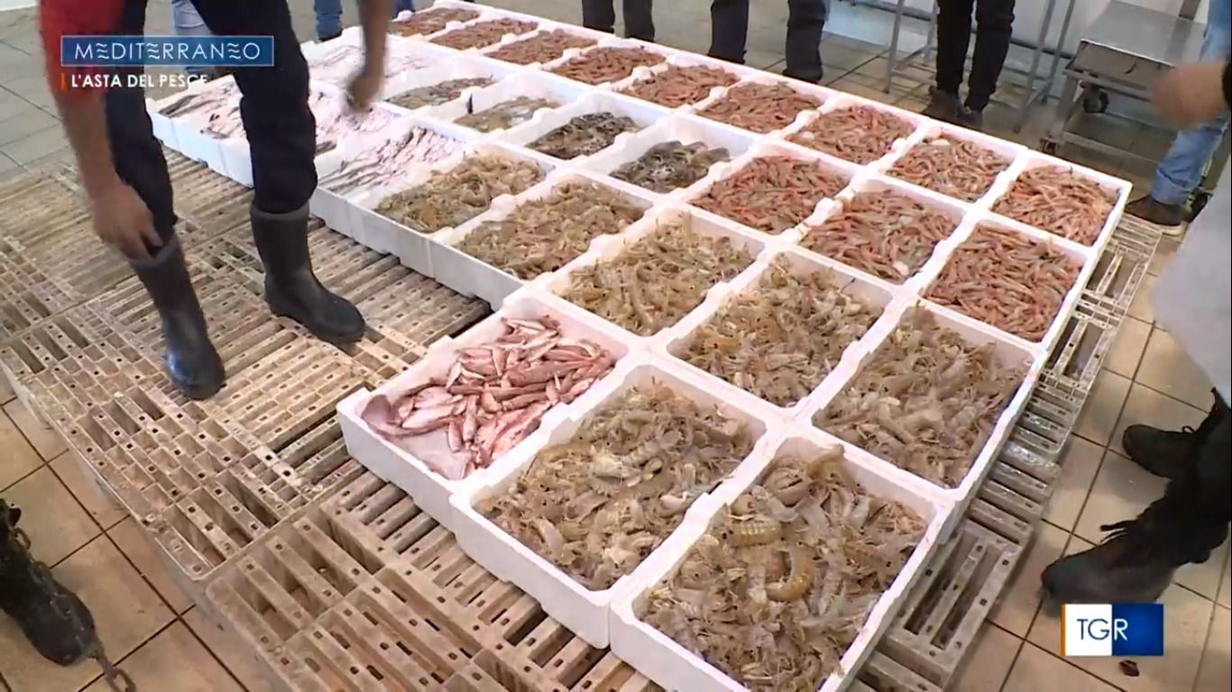 «Il pesce fresco calabrese finisce altrove, da noi salmone malato e fritture di plastica»