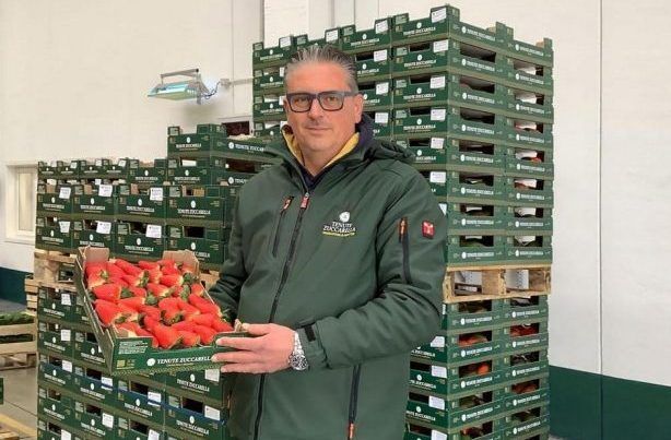 Strage di Amendolara, l’ex datore di lavoro: «Pagati con bonifico, nessuna idea di cosa sia successo»