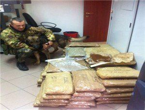 Narcos calabrese arrestato a Olbia