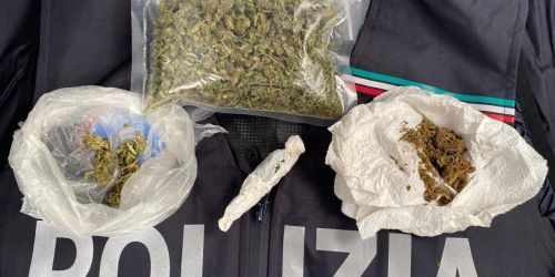 marijuana serra san bruno