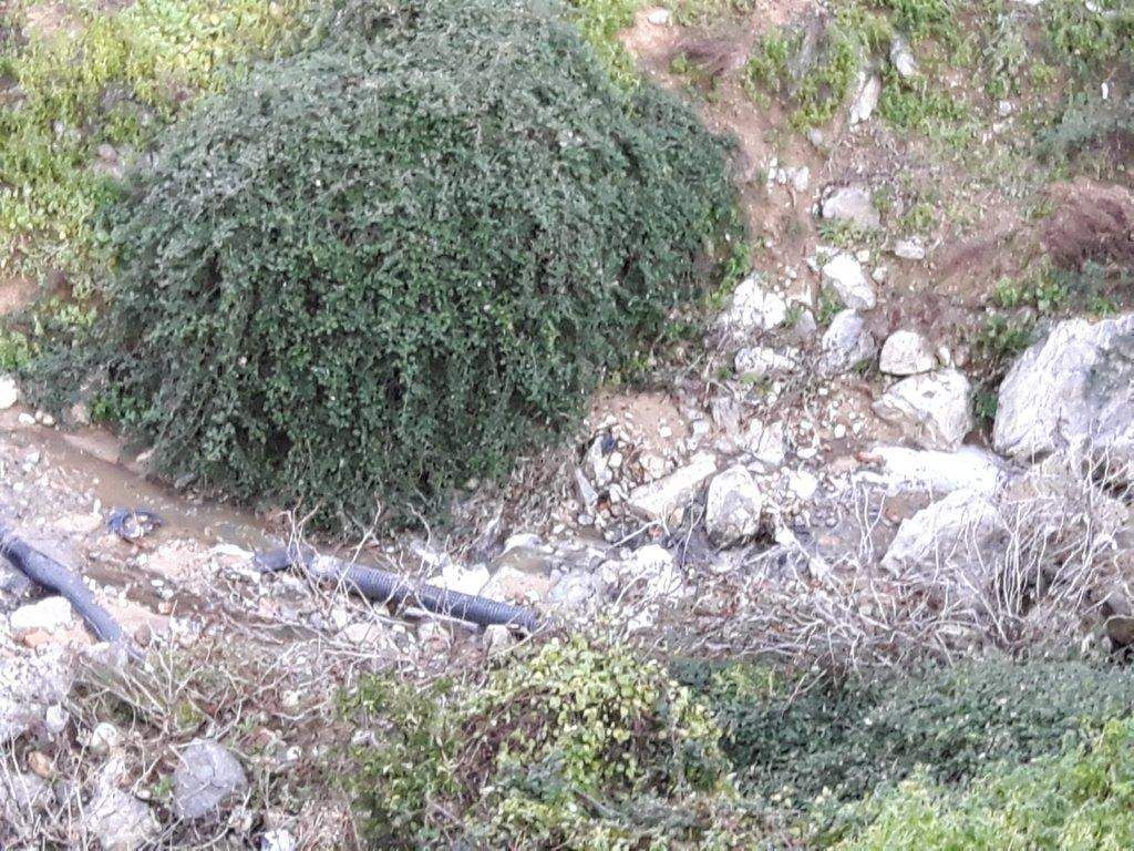 Reflui sul terreno, denunciato il sindaco di Corigliano