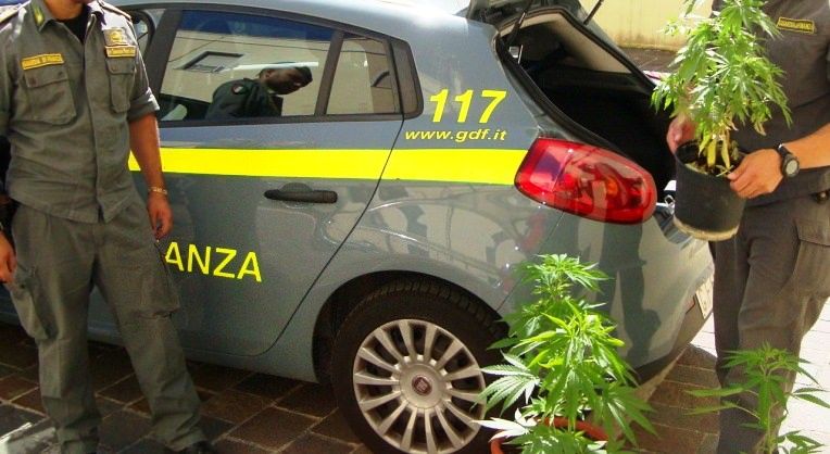 Scoperta e sequestrata piantagione di marijuana