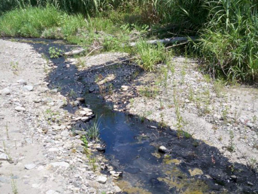 Caulonia, olio combustibile nel torrente Amusa