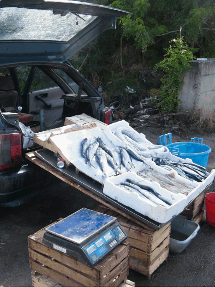 Pesca, la Cgil in agitazione contro i ritardi della Regione