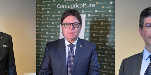 Capodilista Gambuzza Brondelli