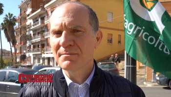 Agricoltura, l’allarme di Giansanti: «Fase simile alla pandemia»