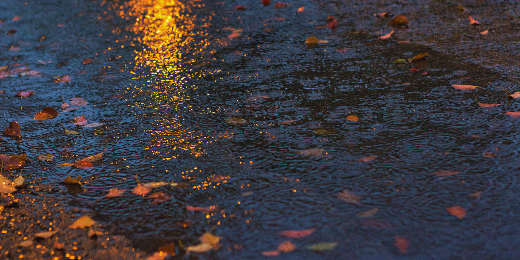 Maltempo, in Calabria piogge abbondanti ma nessuna criticità