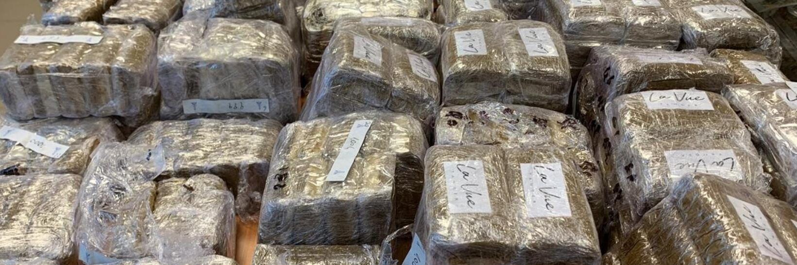 Droga dal Sudamerica al porto di Livorno: 30 arresti