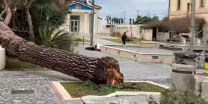 Cosentino in ginocchio: raffiche violente, crolli e collegamenti in tilt. Danni nelle scuole di Paola – FOTO E VIDEO