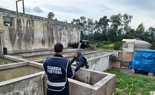Operazione “Nettuno” in Calabria della Guardia Costiera, sanzioni per 900 mila euro