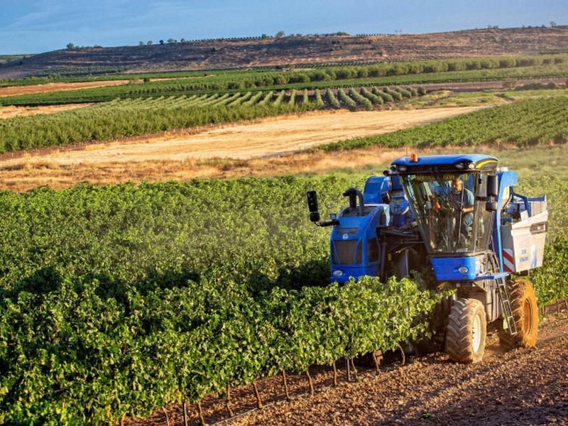 Oltre 142 milioni per gli agricoltori: terminato il pagamento degli anticipi 2025