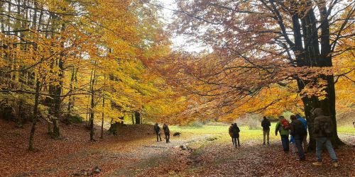 piani di novacco Parco del Pollino - tartufi
