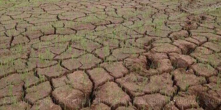 «Grave e persistente siccità»: la crisi dell’acqua in Calabria si fa sempre più allarmante