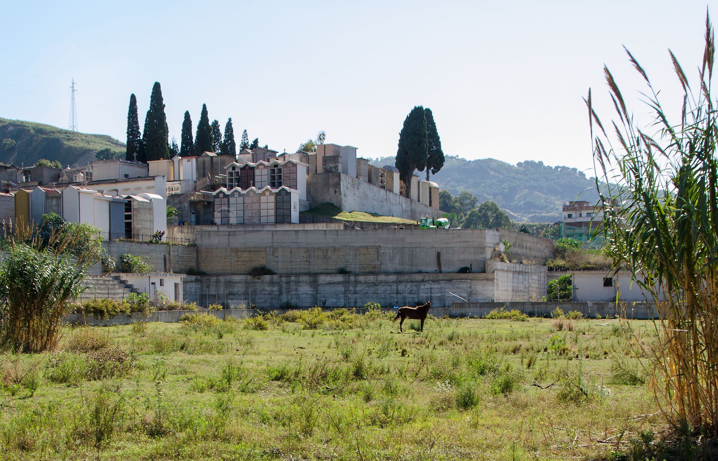 I cavalli sacri della 'ndrangheta