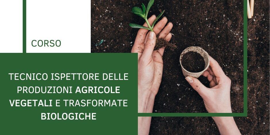 Produzioni agricole vegetali e trasformate biologiche, a Sant’Onofrio al via un corso per tecnici specializzati
