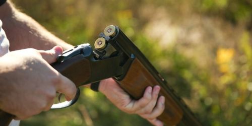 'ndrangheta caccia cinghiali