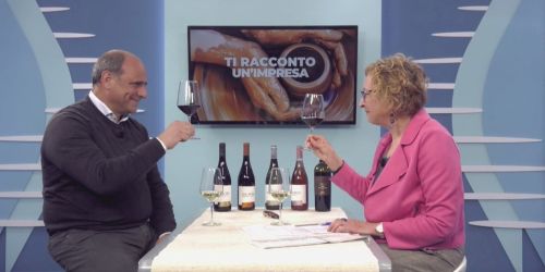 Zito-e-Sesti_vino_cantine