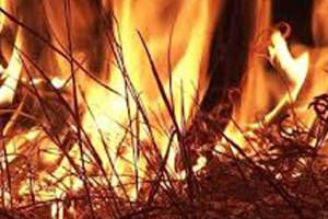 Brucia sterpaglie ma muore carbonizzato – VIDEO