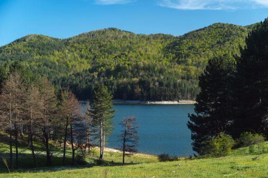 Parco della Sila, il generale Curcio è il nuovo presidente