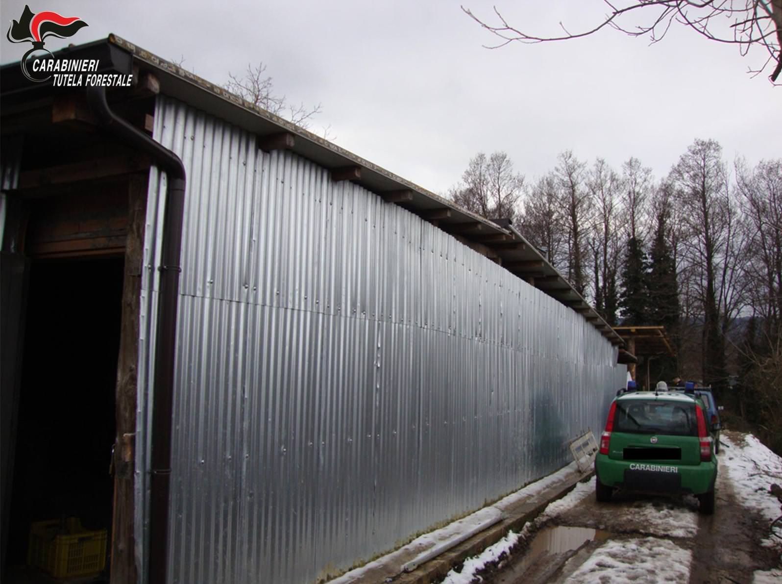 Parco delle Serre, sequestrati due manufatti abusivi