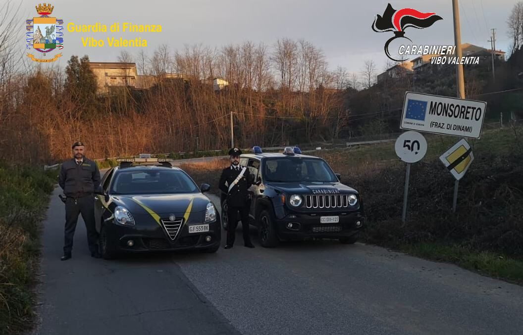 Sequestri e multe per oltre 10 mila euro nel Vibonese