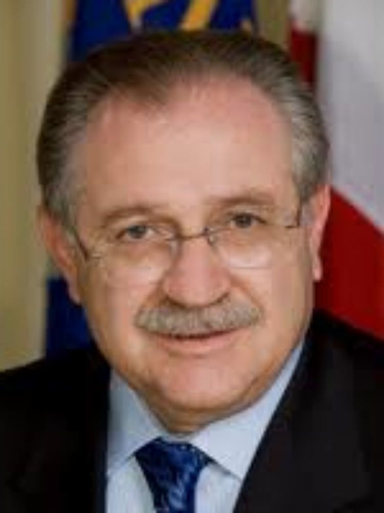 Randagismo, per Nucera la legge va adeguata