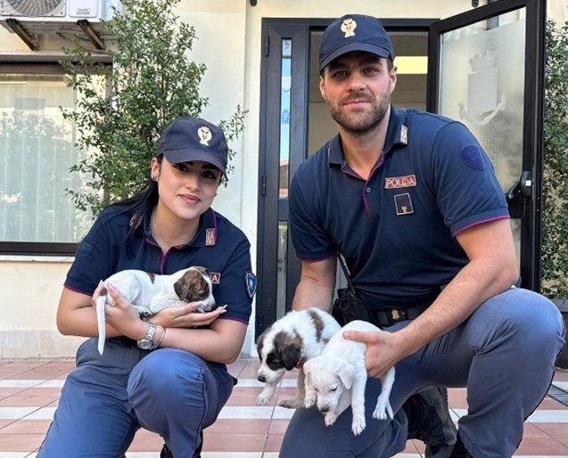 Cuccioli di cane chiusi in un sacco e abbandonati per strada a Crotone: salvati dalla Polizia