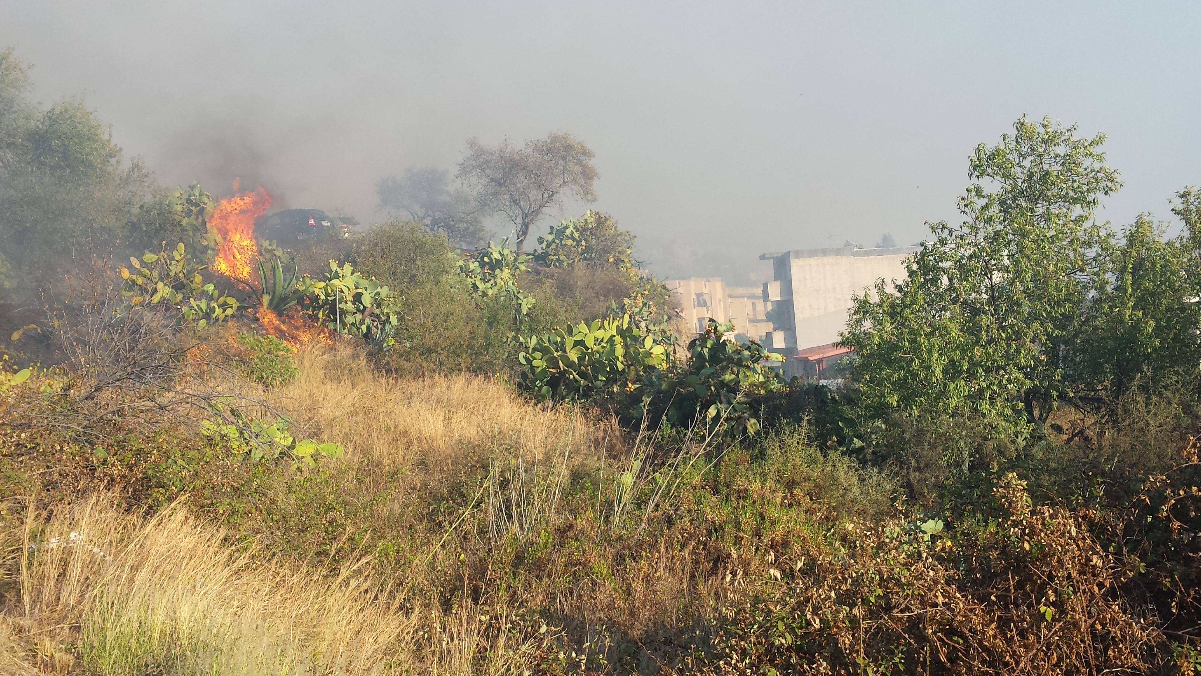 Reggio, incendio minaccia la periferia nord