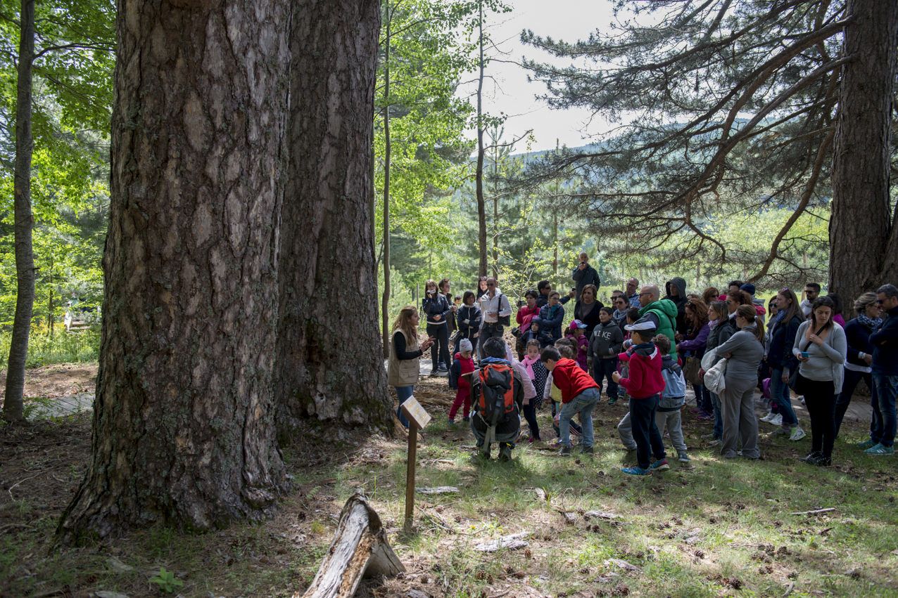 Giornate Fai d'Autunno, la mappa completa degli itinerari calabresi